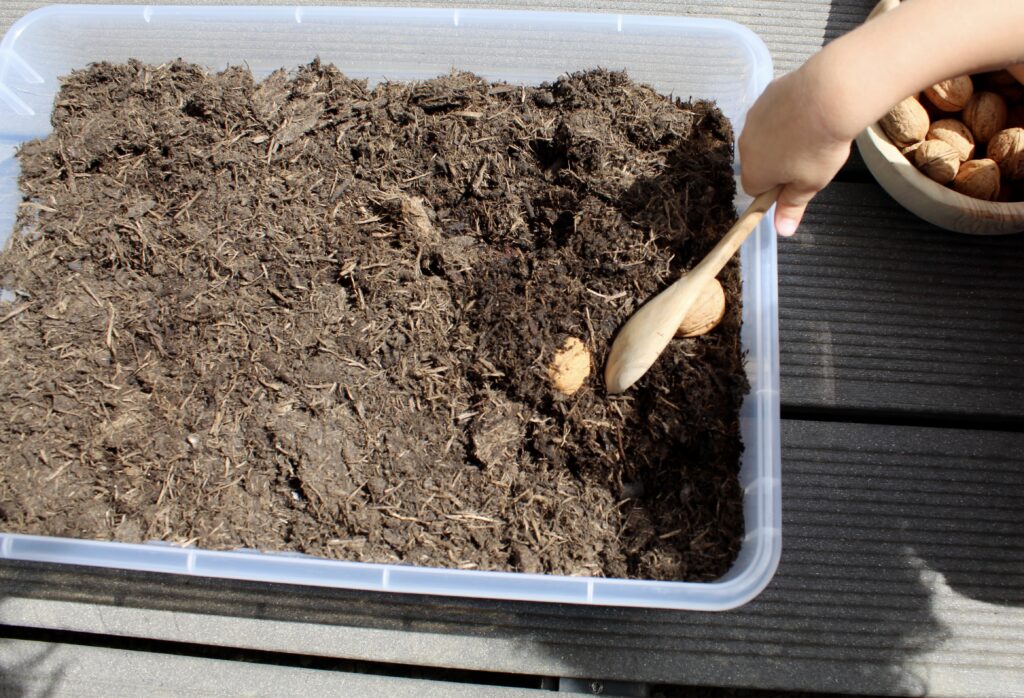 autumn sensory bin