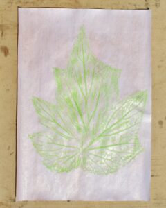 Leaf Rubbing Art