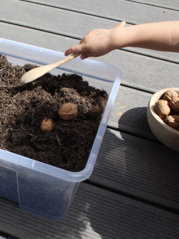 Bury The Nuts (Autumn Sensory Bin)