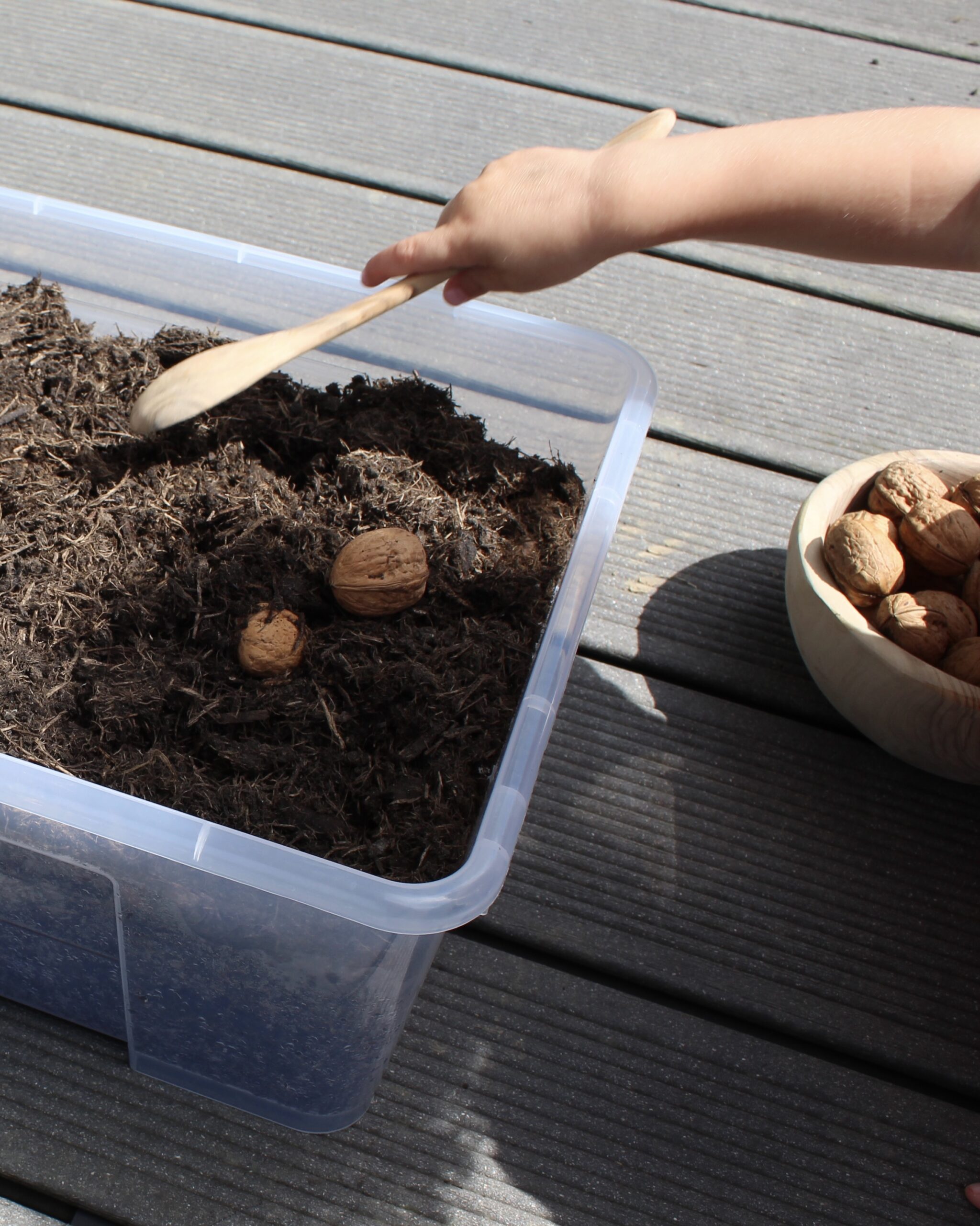 Bury The Nuts (Autumn Sensory Bin)